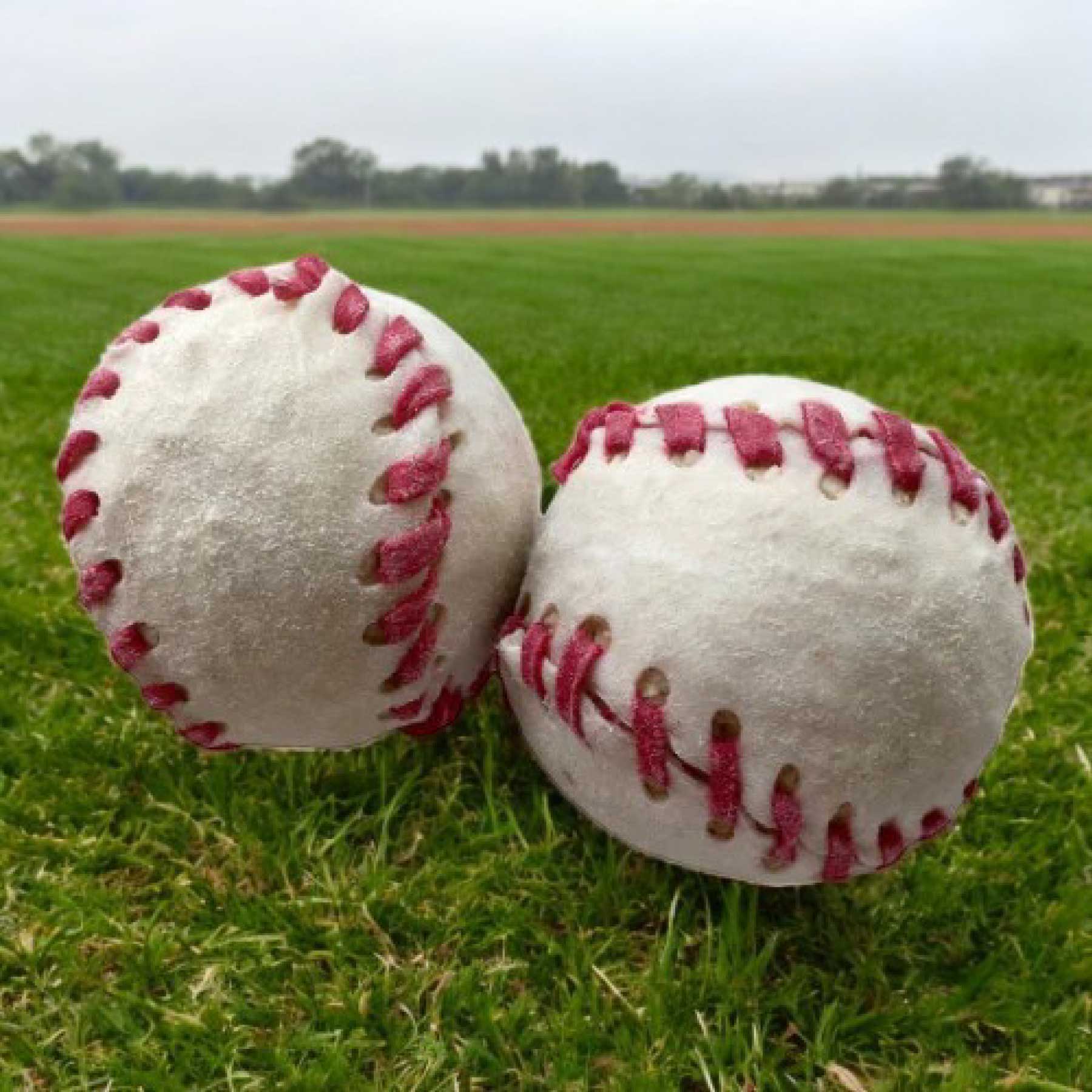 Pelota de Carnaza para Perros