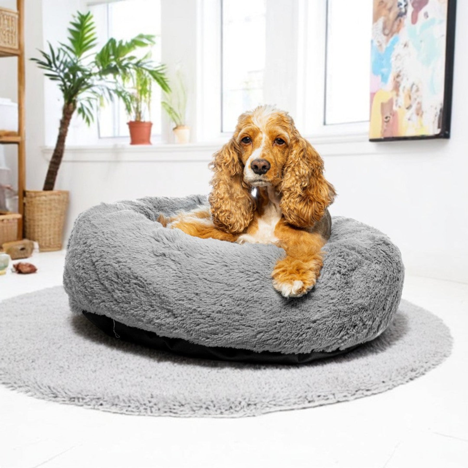 Cama Fluffy Redonda para Mascotas