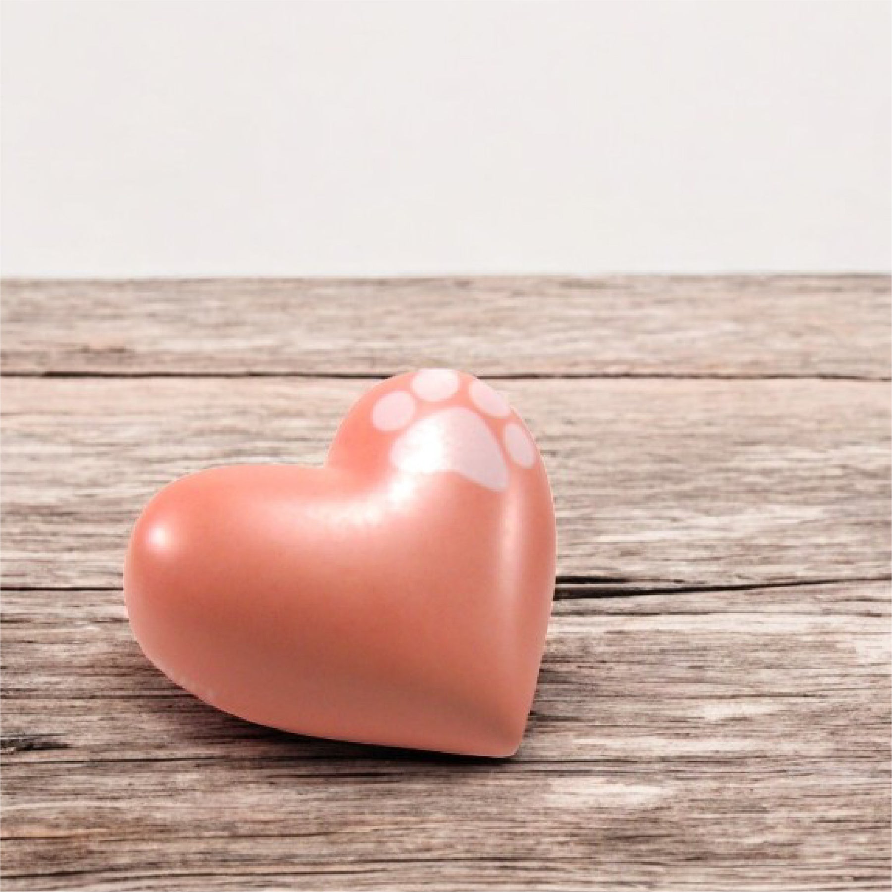 Urna de Corazón para Cenizas de Mascotas
